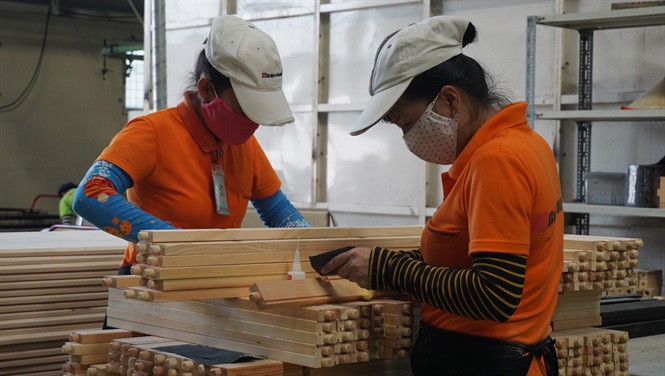 EU hỗ trợ Việt Nam triển khai VPA/FLEGT