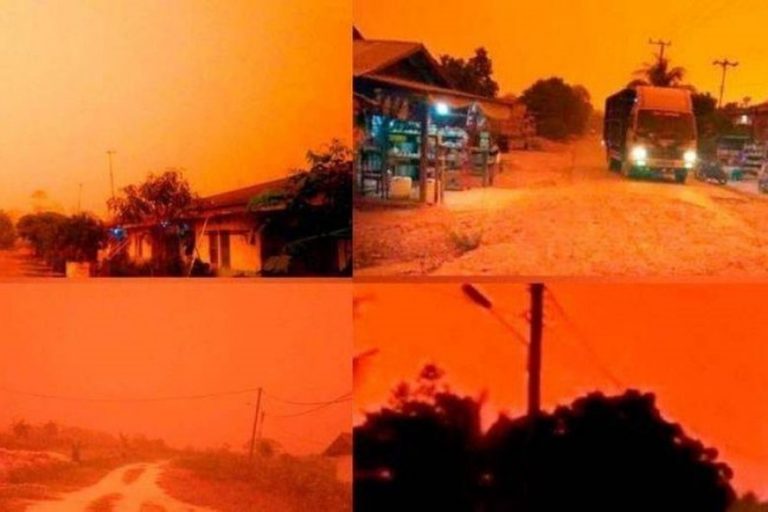 Bầu trời Indonesia chuyển màu kỳ dị do khói bụi từ các đám cháy rừng