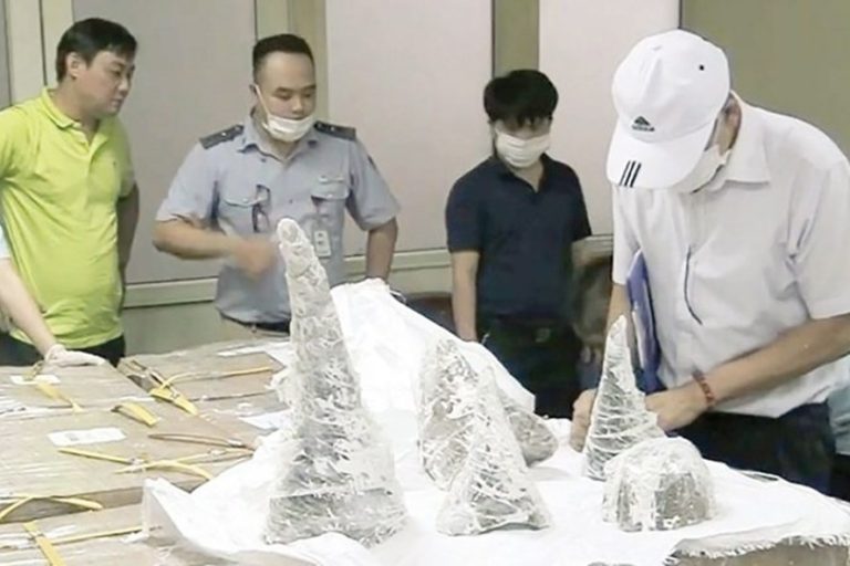 Đừng để Việt Nam là nguyên nhân khiến động vật hoang dã tuyệt chủng