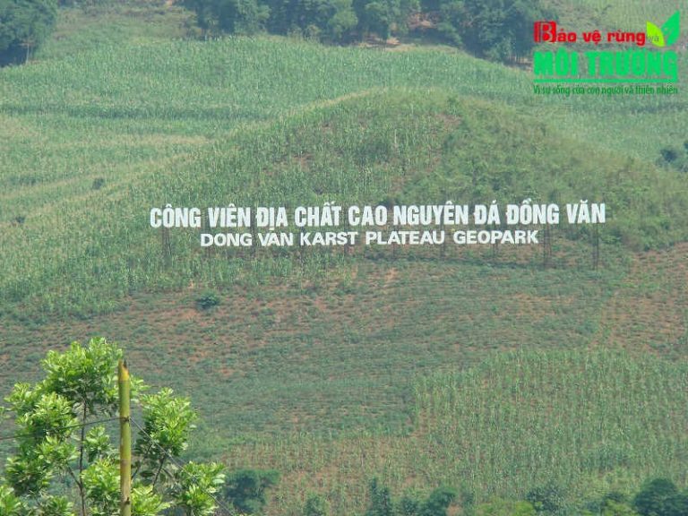 Nuối tiếc cảnh quan tuyệt đẹp của Cao nguyên đá Đồng Văn 10 năm về trước