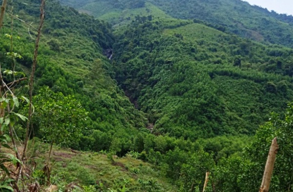 Nam Đông, Thừa Thiên Huế: Hàng trăm ha rừng phòng hộ bị lấn chiếm