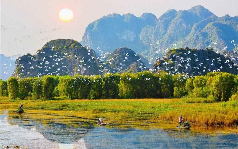 Đối mặt với suy thoái hệ sinh thái tự nhiên