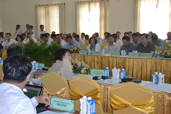 Năng suất, chất lượng dừa Việt Nam hàng đầu thế giới
