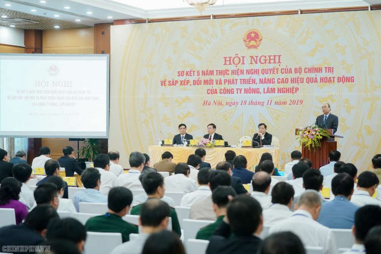 Sắp xếp các công ty với 1,86 triệu ha đất: Không thể chậm hơn 2020