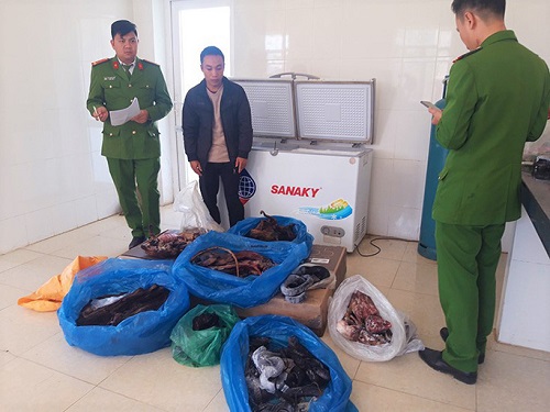 Bắt pháo “lậu”, phát hiện vô số động vật hoang dã quý hiếm “ém” trong nhà