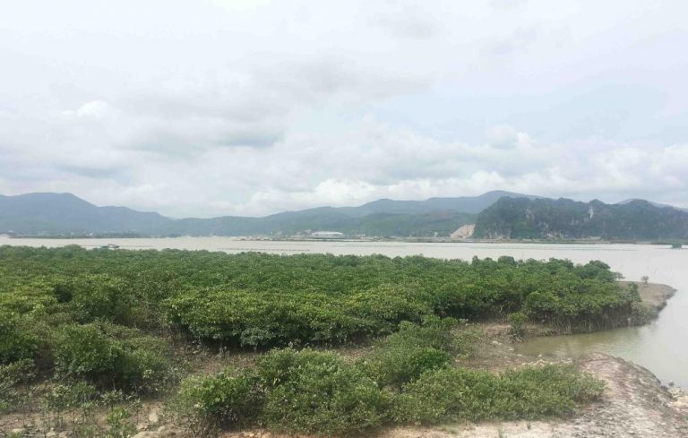Thành lập khu rừng đặc dụng bảo vệ cảnh quan Vịnh Hạ Long