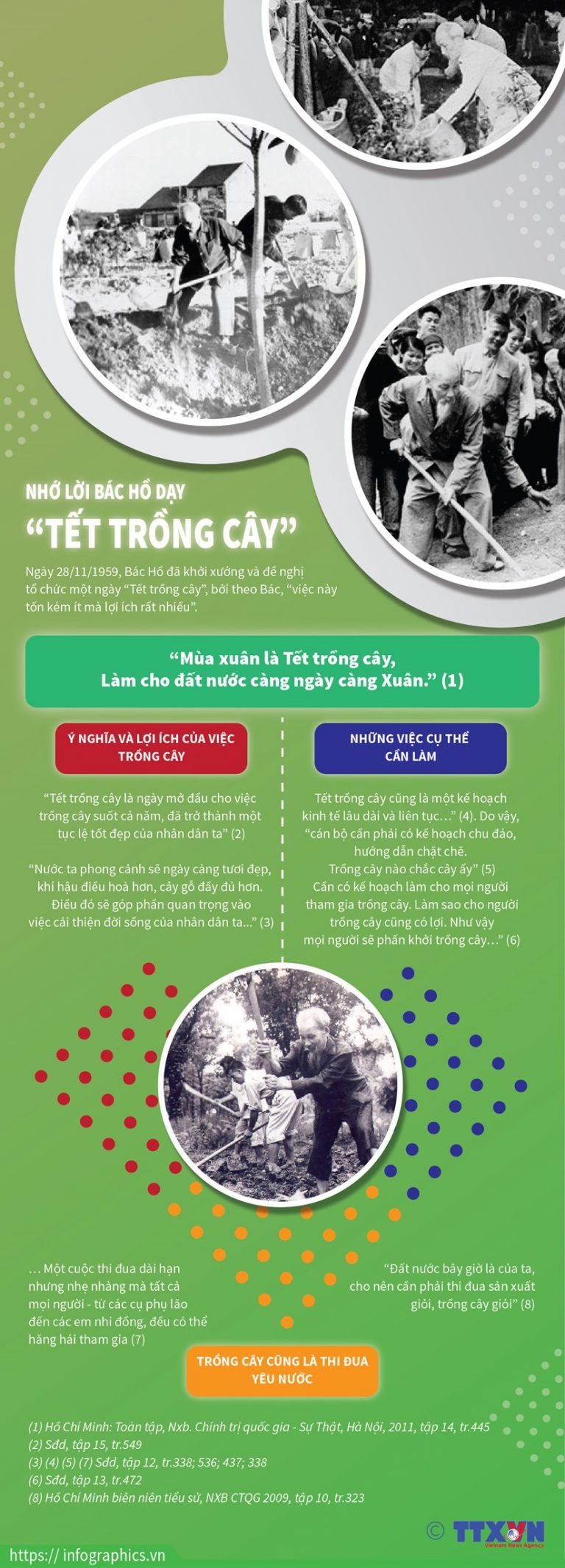 Tổ chức ‘Tết trồng cây,’ nhớ lời Bác Hồ dạy