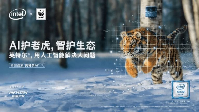 Ứng dụng AI trong giám sát hổ Siberia