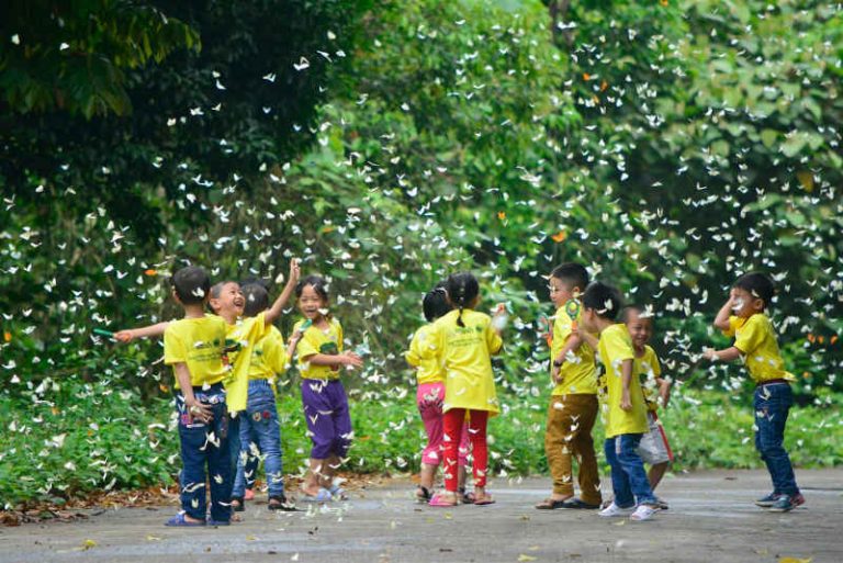 Gần 6.000 bạn nhỏ trải nghiệm thiên nhiên trong chương trình “Tuổi Thơ Xanh”