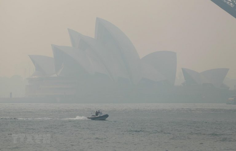 Australia: Tàn tro do cháy rừng làm ô nhiễm nguồn nước ở Sydney