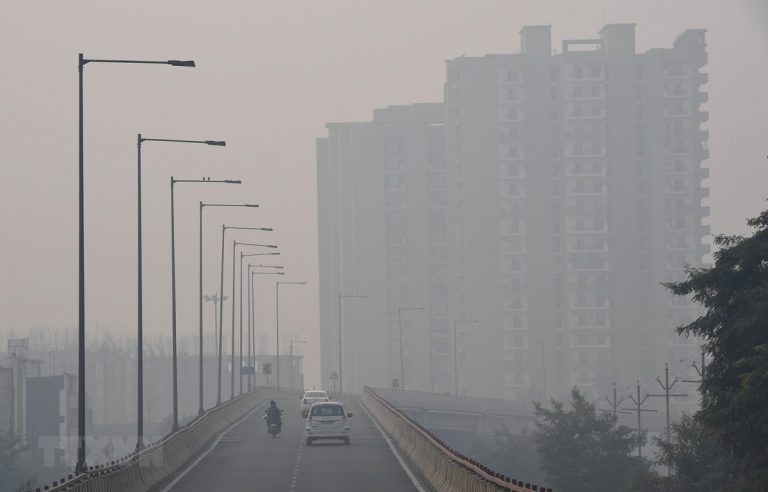 Ấn Độ: Khói bụi độc hại bao phủ New Delhi, người khỏe đổ bệnh