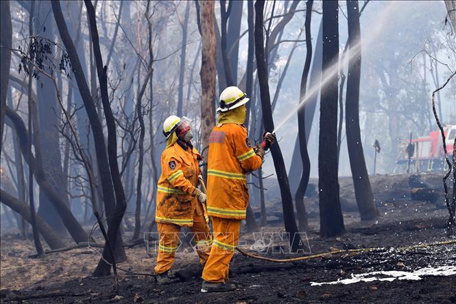 Australia ban bố tình trạng khẩn cấp do cháy rừng
