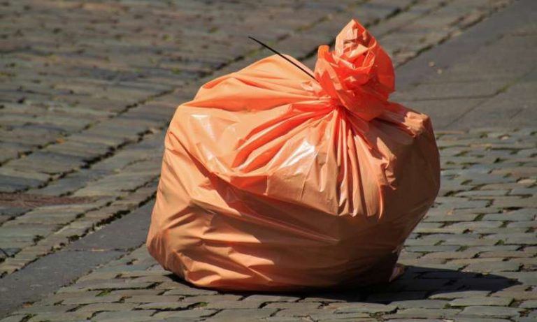 Sâu bột giải quyết vấn đề rác thải nhựa