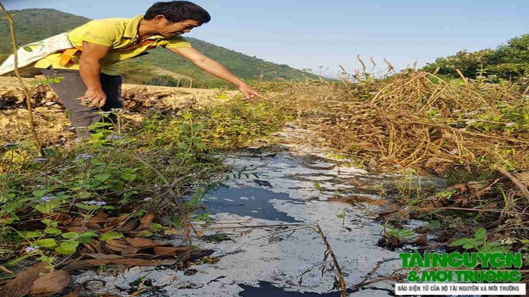Nhà máy Chế biến tinh bột sắn Như Xuân “vô tư” xả thải ra môi trường
