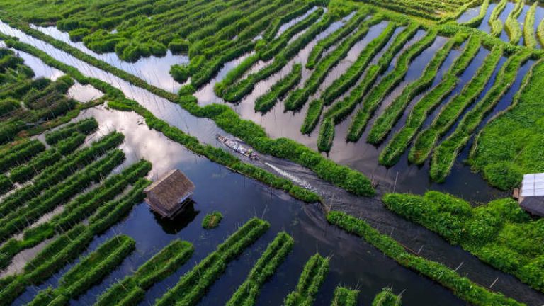 Sinh kế và thiên nhiên dần hồi phục ở hồ Inle
