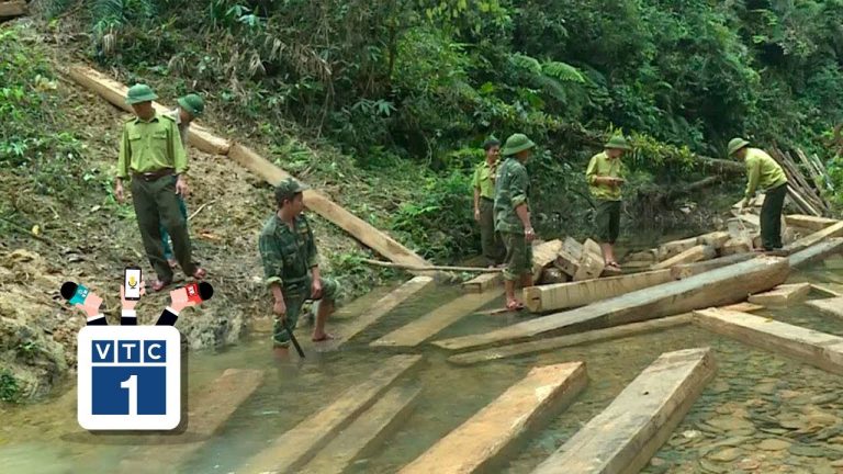 Cán bộ bảo vệ rừng xin nghỉ việc: Nguyên nhân là gì?