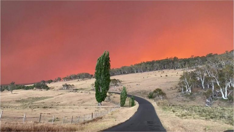 Cháy rừng ở Australia khiến bầu trời chuyển đỏ như máu