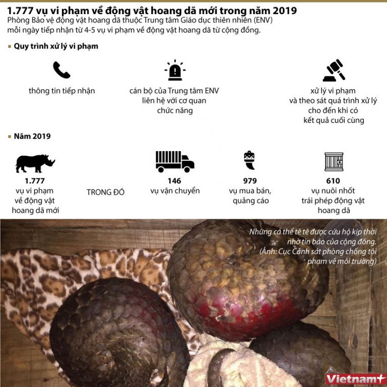 1.777 vụ vi phạm về động vật hoang dã trong năm 2019