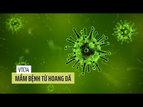 Mầm bệnh từ hoang dã