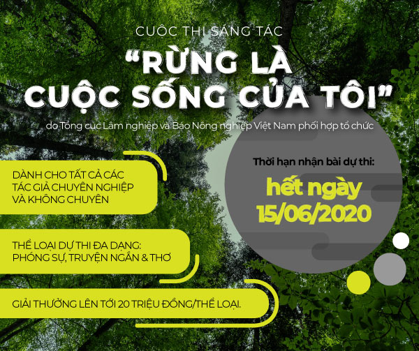 Cuộc thi Rừng là cuộc sống của tôi