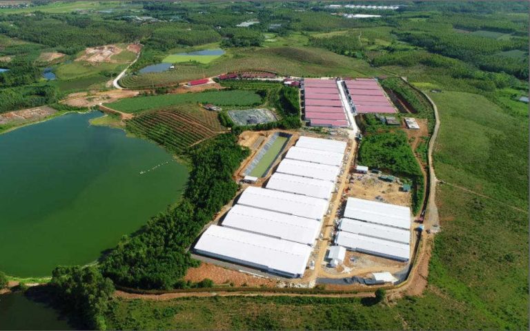 Phú Thọ: Công ty CP Tập đoàn Dabaco bị phạt 300 triệu đồng do vi phạm Luật bảo vệ môi trường