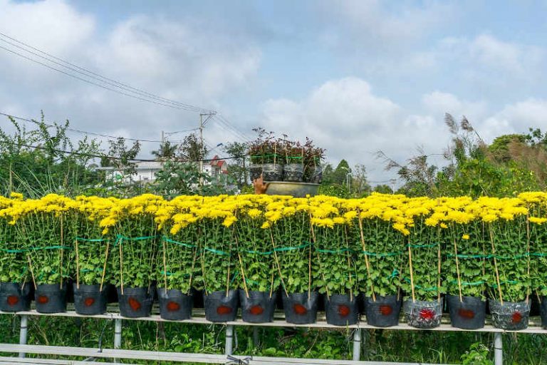 Hà Nội triển khai các biện pháp phòng, chống cháy rừng dịp lễ, Tết