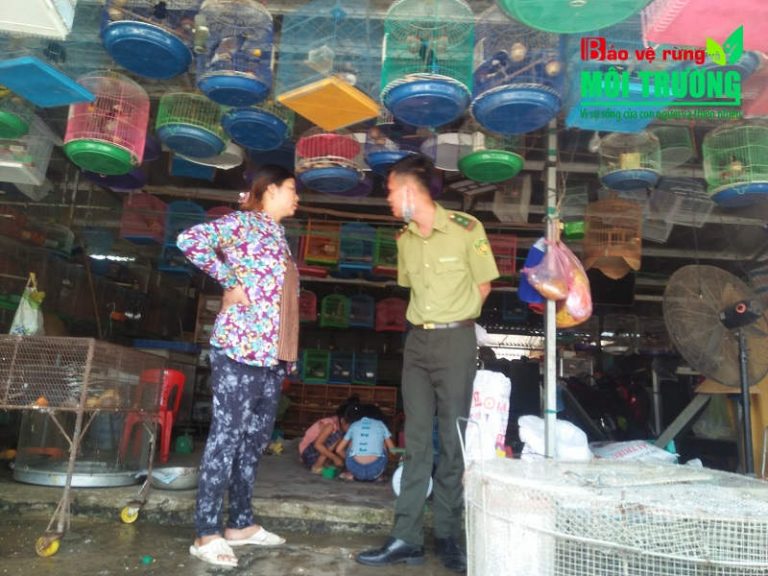 Buôn bán động vật hoang dã trái phép nhưng không chấp hành nộp phạt