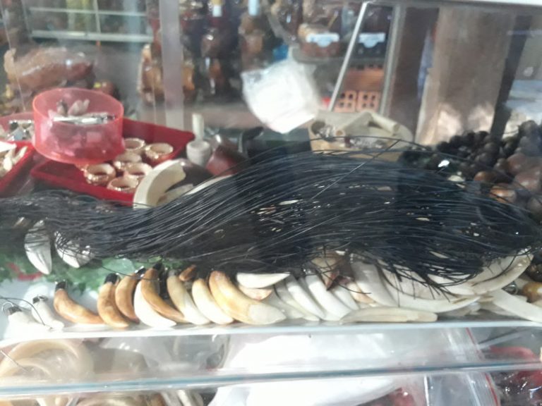 Mạnh tay với buôn bán động vật hoang dã góp phần kiểm soát đại dịch