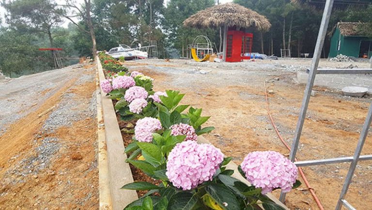 Ba lần bị đình chỉ khu sinh thái vẫn mọc lên trên đất lâm nghiệp
