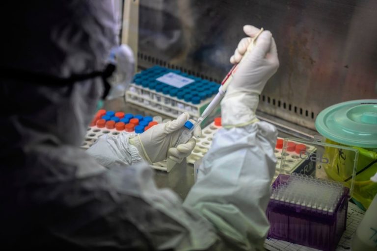 Phát hiện 3 biến thể virus có thể giúp xác định nguồn gốc COVID-19
