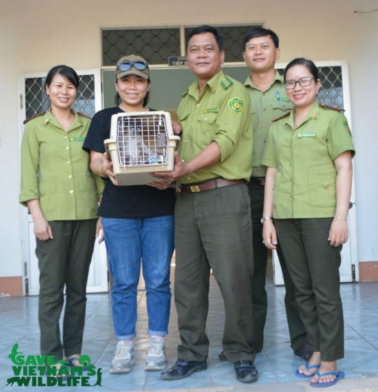 Cứu hộ cá thể Tê tê và Vooc chân xám, thuộc loài nguy cấp quý hiếm cần được bảo vệ