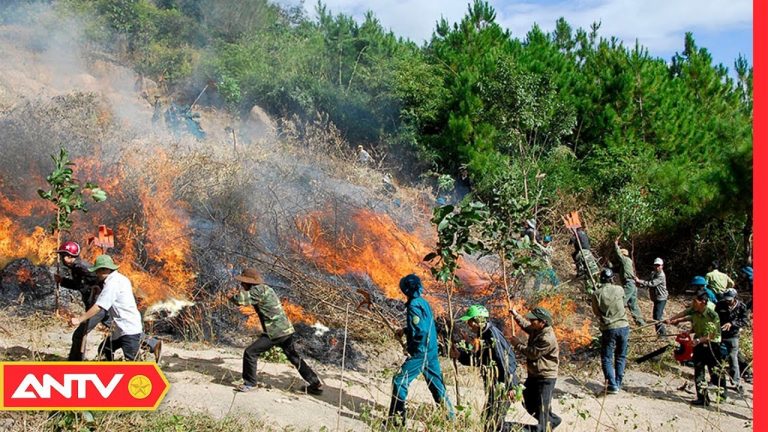Tăng cường phòng cháy chữa cháy rừng mùa hanh khô