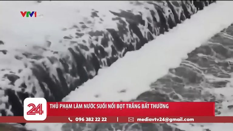 Thủ phạm làm nước Suối Chợ nổi bọt trắng bất thường tại Bình Dương