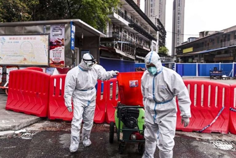 Vô vọng lần tìm trung gian đưa virus gây COVID-19 từ dơi sang người
