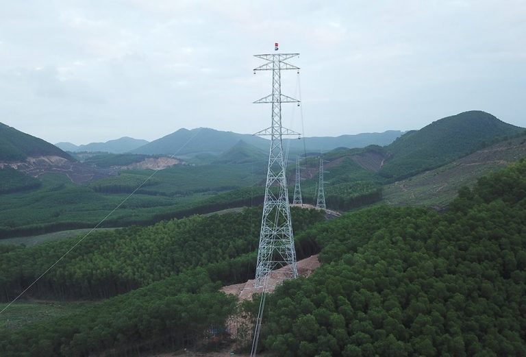 Nghệ An: Chuyển hơn 54 ha rừng thực hiện đường dây điện 500KV