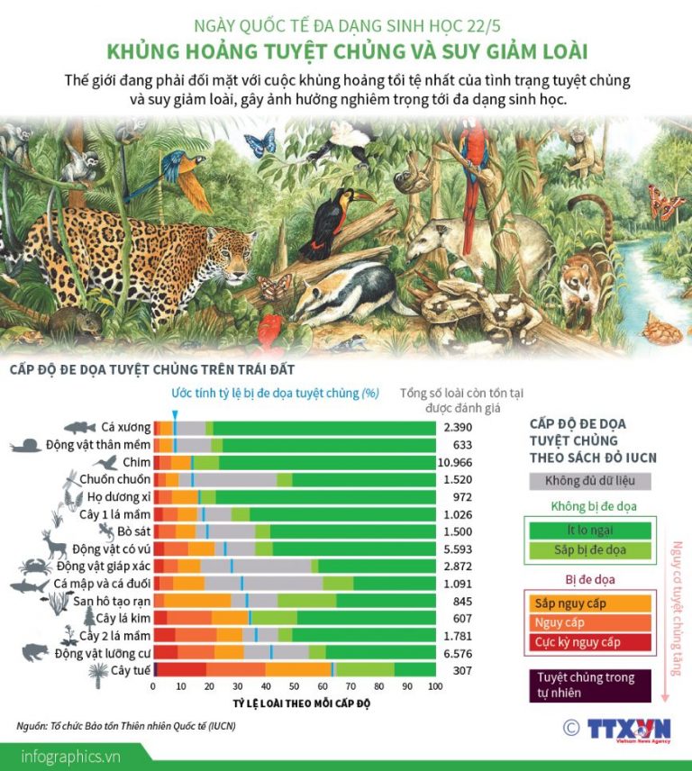 Khủng hoảng tuyệt chủng và suy giảm loài