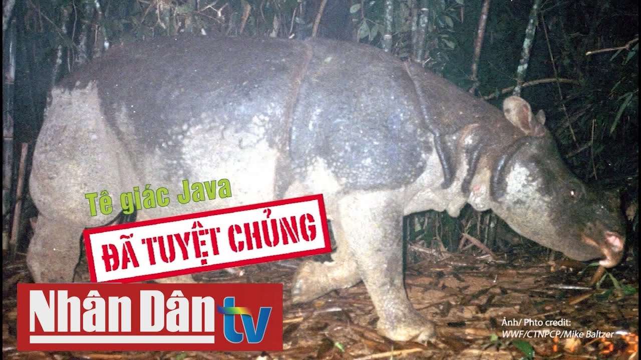 Báo động nguy cơ suy thoái đa dạng sinh học