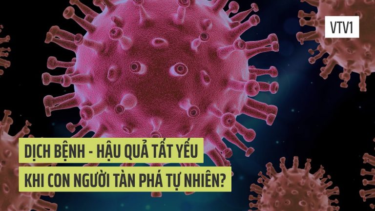 Dịch bệnh – hậu quả tất yếu khi con người tàn phá tự nhiên?