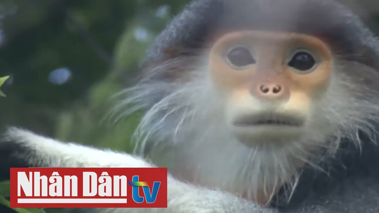 Bảo tồn đa dạng sinh học vì mục tiêu phát triển bền vững