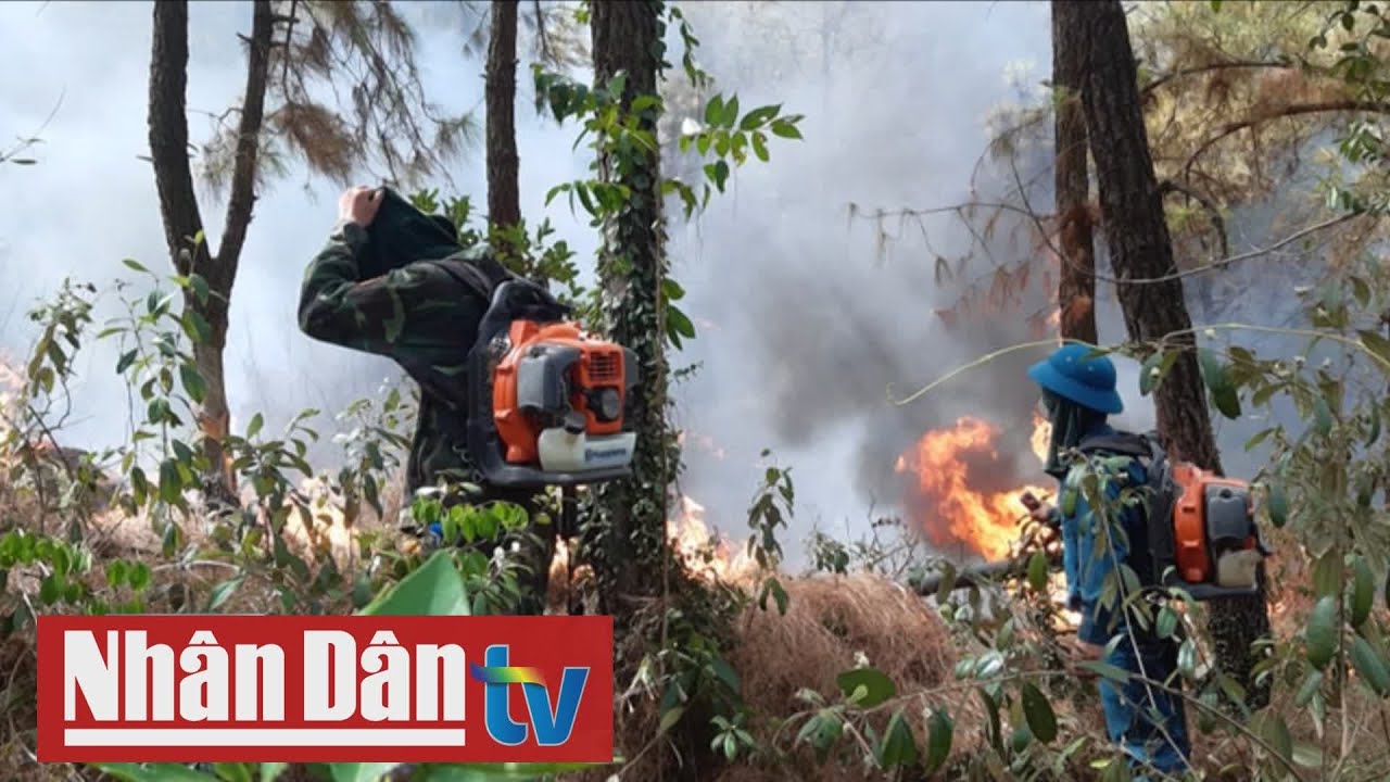 Lại cháy rừng ở huyện Diễn Châu, tỉnh Nghệ An