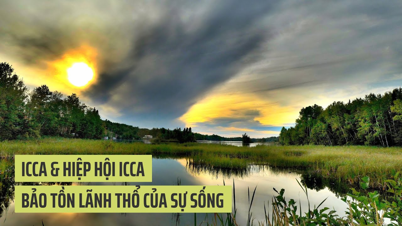 ICCA & Liên minh ICCA – Bảo tồn lãnh thổ của sự sống