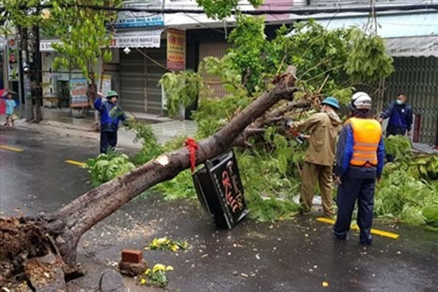 Thiệt hại do bão số 5: 3 người chết, 112 người bị thương
