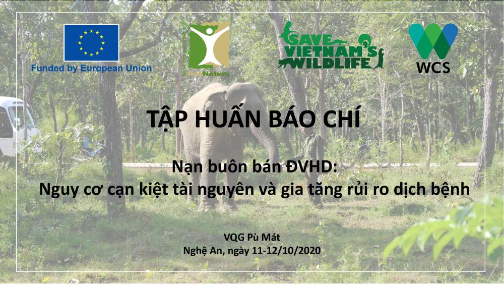 Mời đăng ký tham dự tập huấn báo chí về buôn bán ĐVHD
