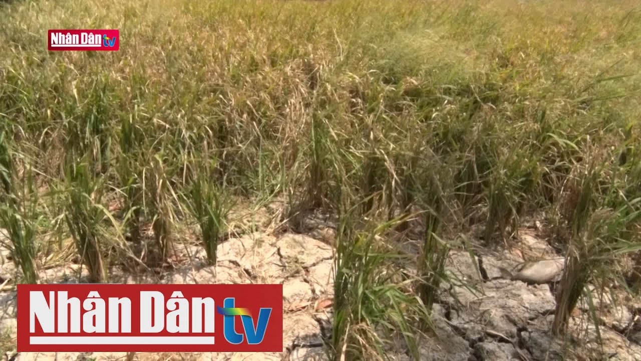 Tác động của biến đổi khí hậu đối với doanh nghiệp Việt Nam