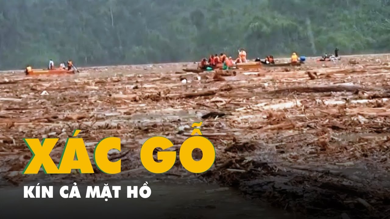 Sau lũ, gỗ trôi nổi kín lòng hồ thủy điện Đăk Mi 4