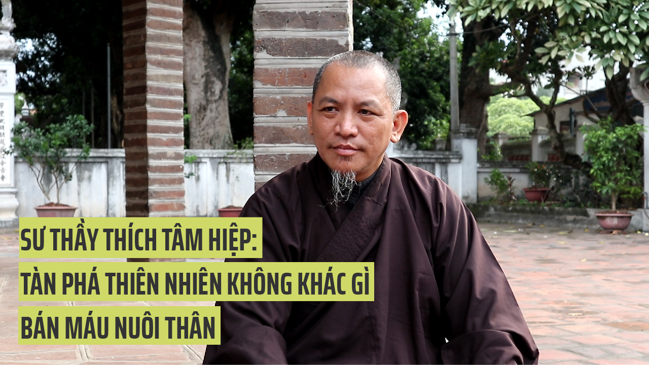 Sư thầy Thích Tâm Hiệp: Tàn phá thiên nhiên không khác gì bán máu nuôi thân