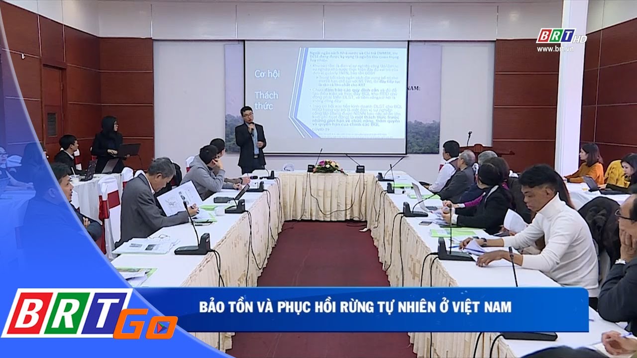 Bảo tồn và phục hồi rừng tự nhiên ở Việt Nam