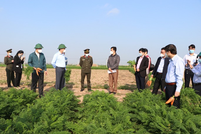 Hải Dương kết thúc 15 ngày cách ly xã hội, gỡ bỏ phong tỏa Cẩm Giàng, Chí Linh từ 3-3