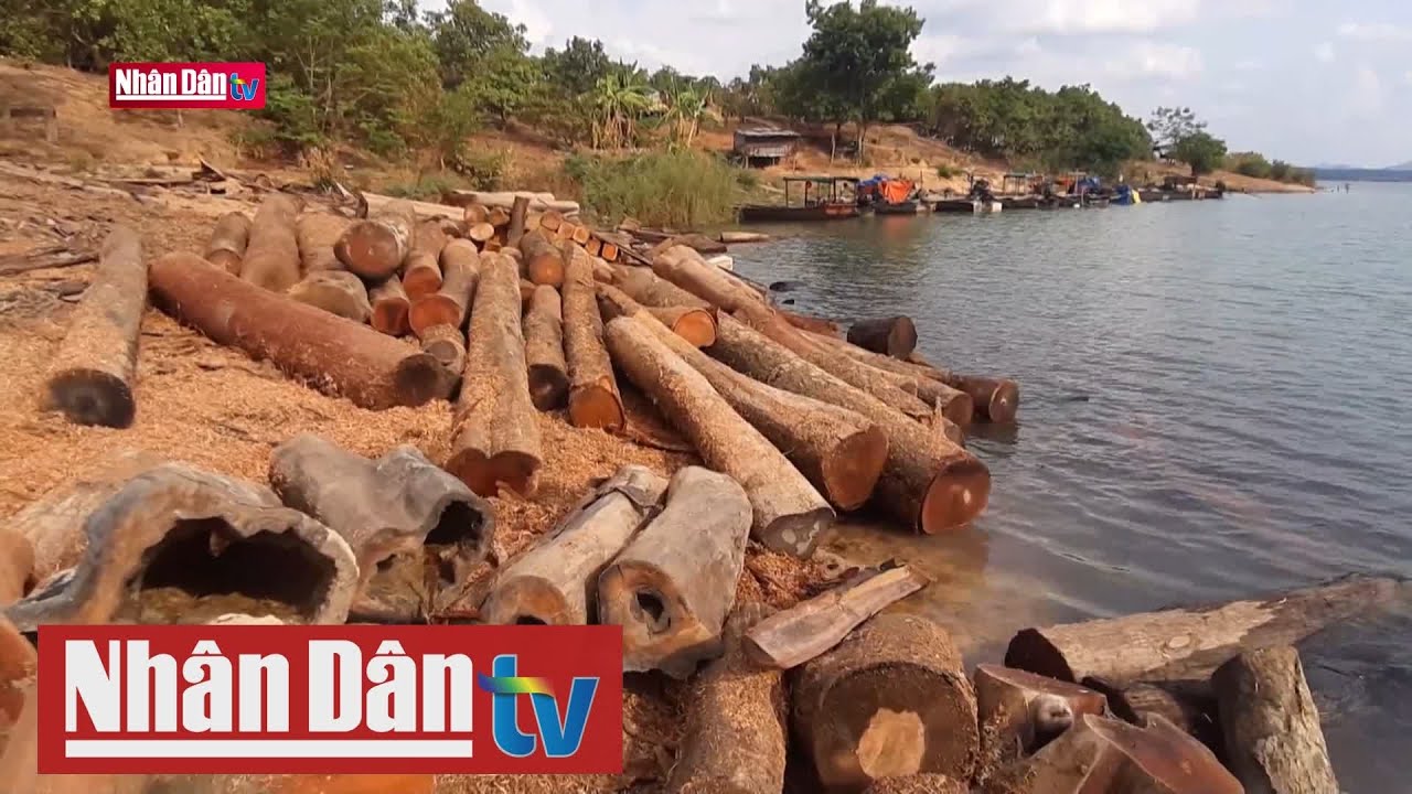 Phát hiện điểm tập kết gỗ lậu giữa lòng hồ thủy điện Sê San 4
