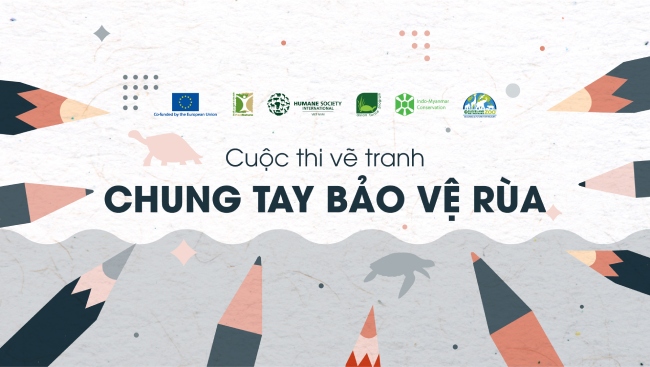 Phát động cuộc thi vẽ tranh: “Chung tay bảo vệ rùa”